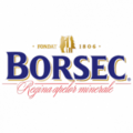 Borsec