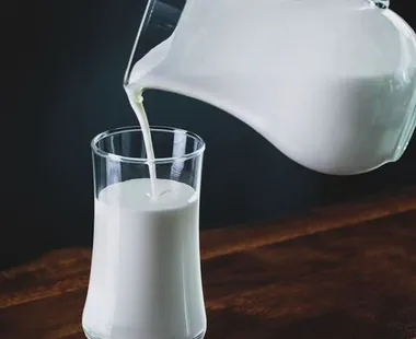 Lactate & Ouă