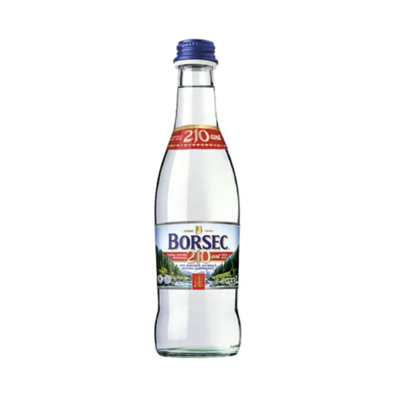 Apa Carbogazoasa Borsec 0.33L Sticla