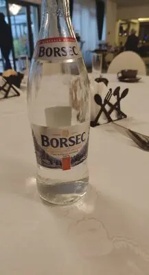 Apa Carbogazoasa Borsec 0.5L Pet