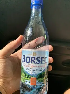 Apa Plata Borsec 0.33L Sticla